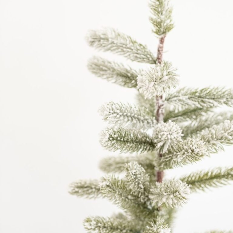 Spruce Up Your Space 10 Inspiring Christmas Tree Decorating Tips You