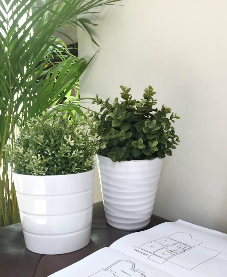 Why You Should Use Fake Plants In Your Home [Artificial]