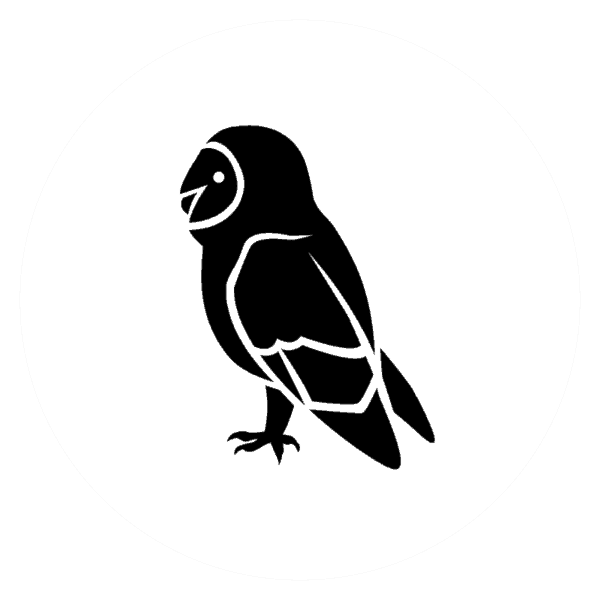 home-organisation-and-the-owl-bird-type-yes-really