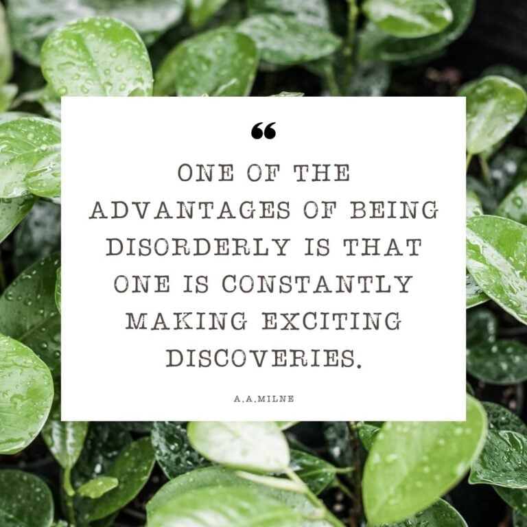 The advantages of a disorderly system can be just as compelling as those of an orderly one.
