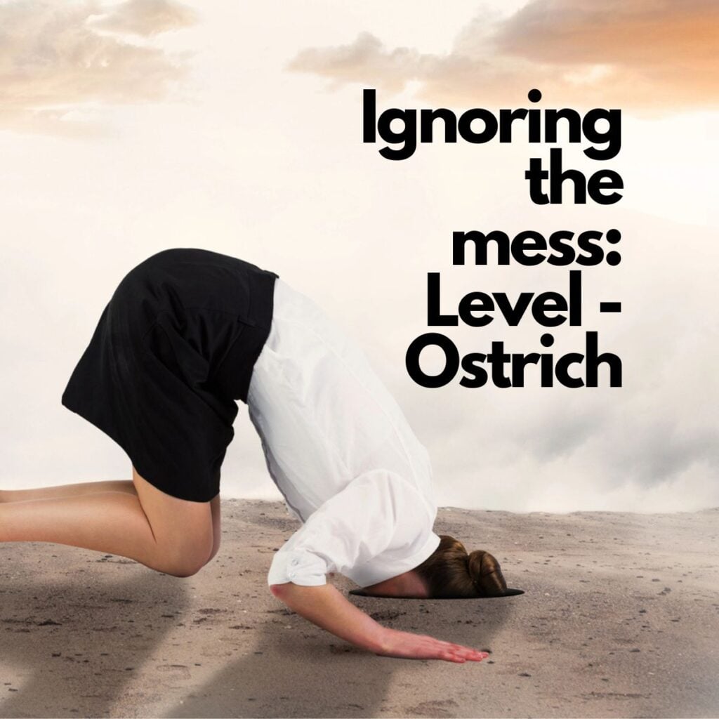 Ignoring the mess - Level - Ostrich. With a picture of a lady sticking her head in the ground