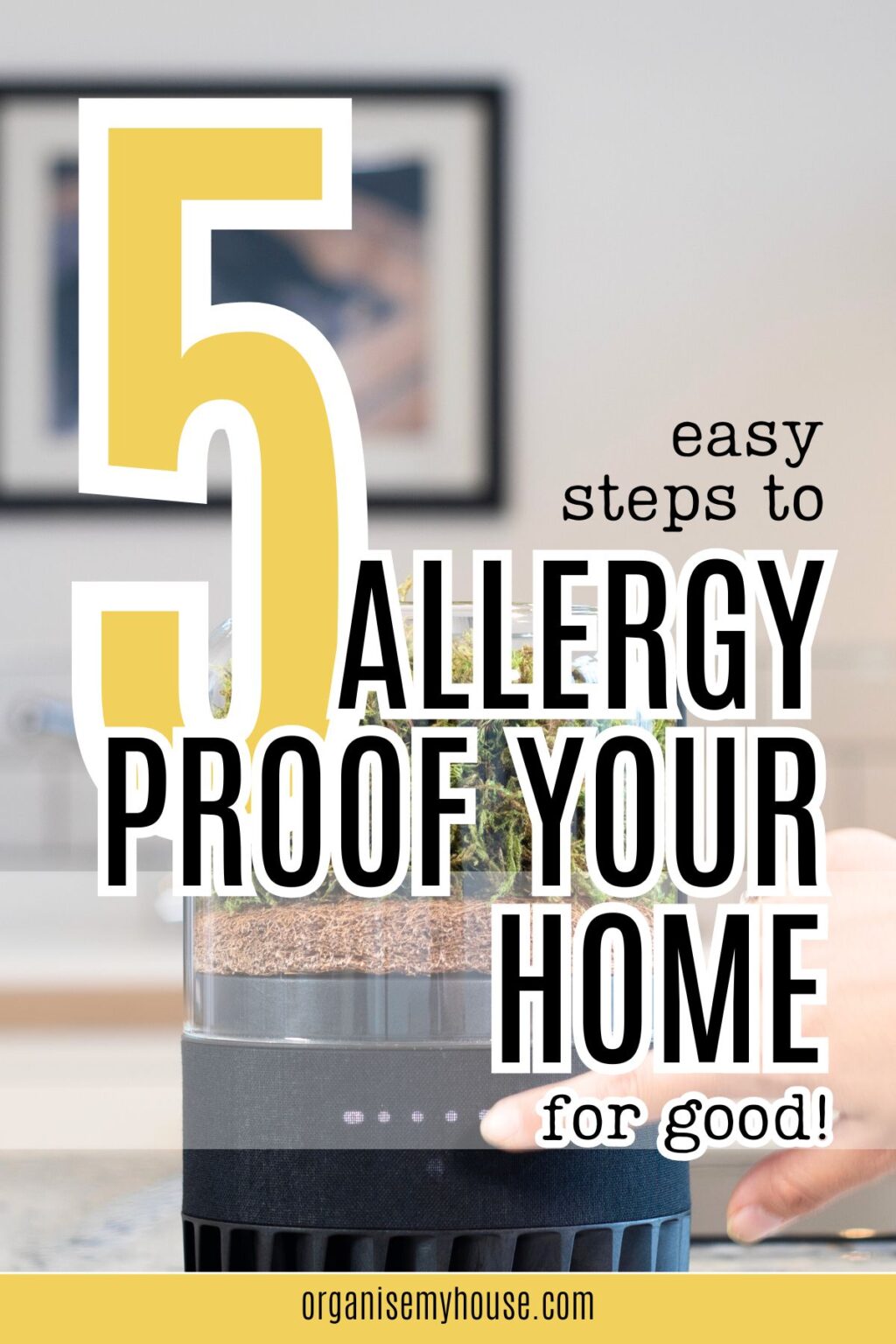 Picture of Breathe Easy: 5 Simple Steps To Allergy Proof Your Home For Good