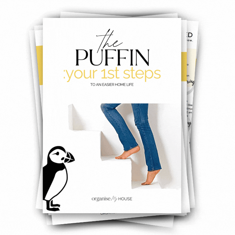 RESOURCE – PUFFIN HUB PAGE 3 The Puffin 1st Steps workbook - Free with Quiz Results