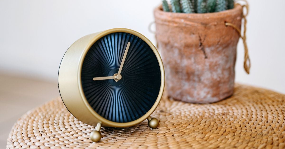 Alarm clock with black face, on a table top with a plant in a pot next to it