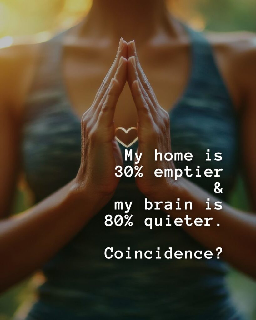 54 Funny Sayings About Clutter (That’ll Make You Feel Better About Yours) 40 My home is 30% emptier and my brain is 80% quieter. Coincidence?