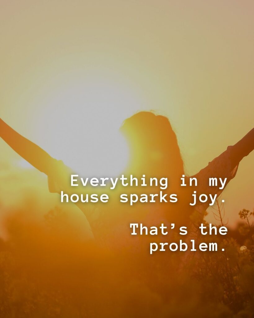 54 Funny Sayings About Clutter (That’ll Make You Feel Better About Yours) 13 Everything in my house sparks joy. That's the problem.