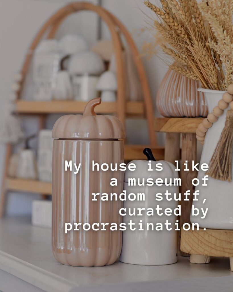 54 Funny Sayings About Clutter (That’ll Make You Feel Better About Yours) 20 My House is like a museum of random stuff, curated by procrastination