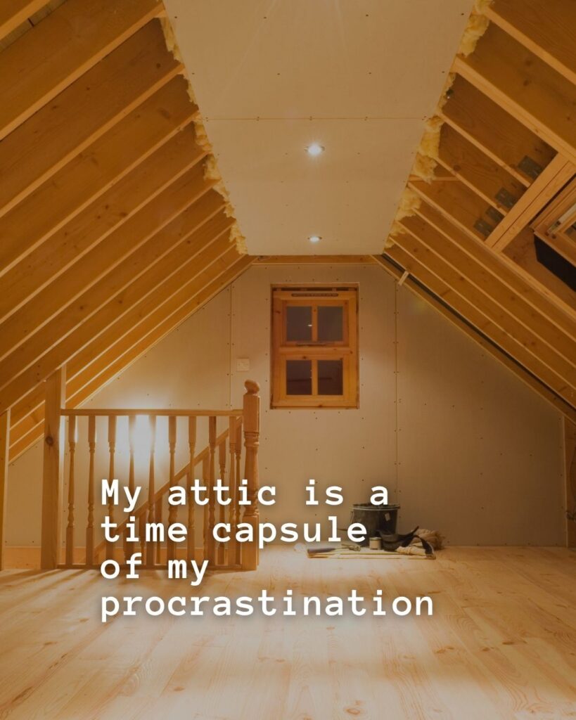 54 Funny Sayings About Clutter (That’ll Make You Feel Better About Yours) 19 My attic is a time capsule of my procrastination.