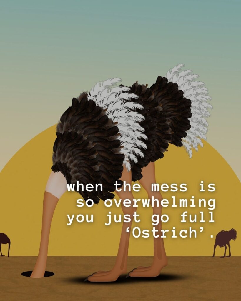 54 Funny Sayings About Clutter (That’ll Make You Feel Better About Yours) 49 When the mess is so overwhelming you just go full Ostrich