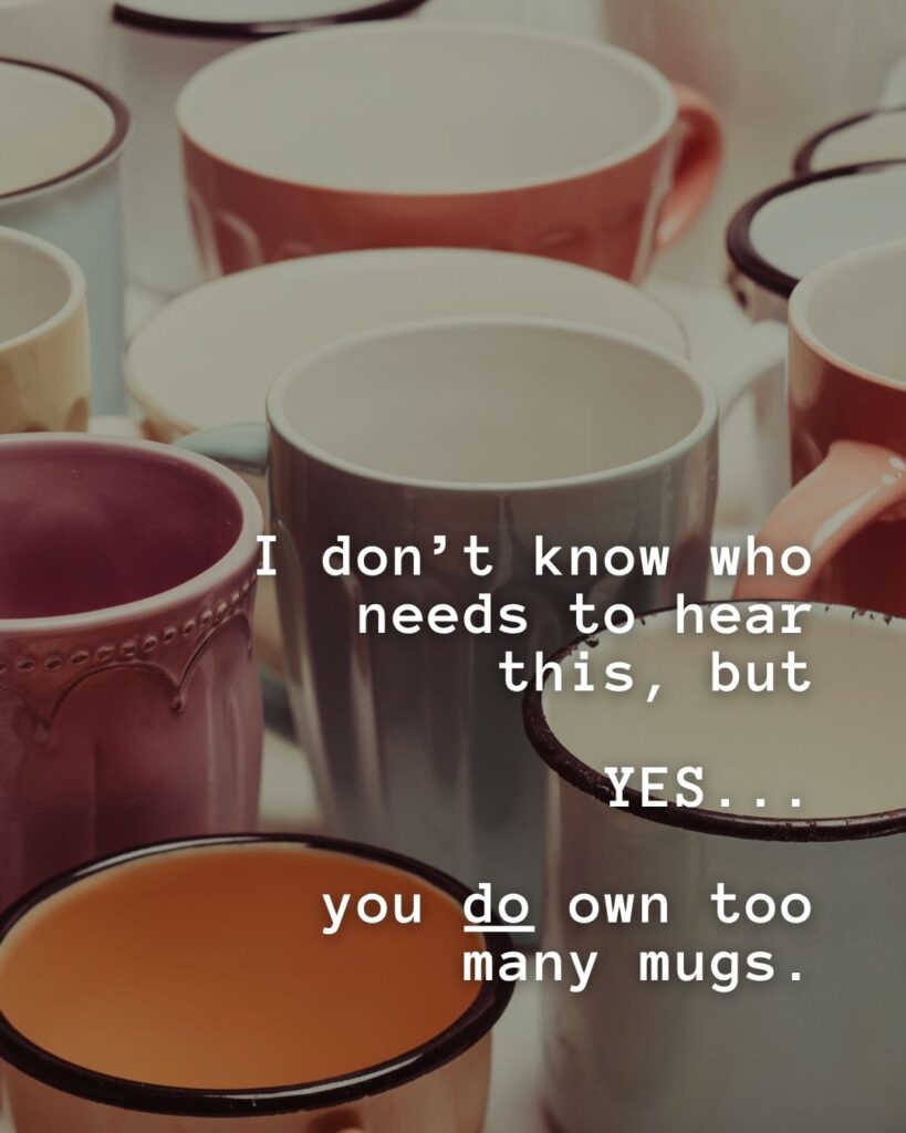 54 Funny Sayings About Clutter (That’ll Make You Feel Better About Yours) 47 I don't know who needs to hear this, but YES, you do own too many mugs