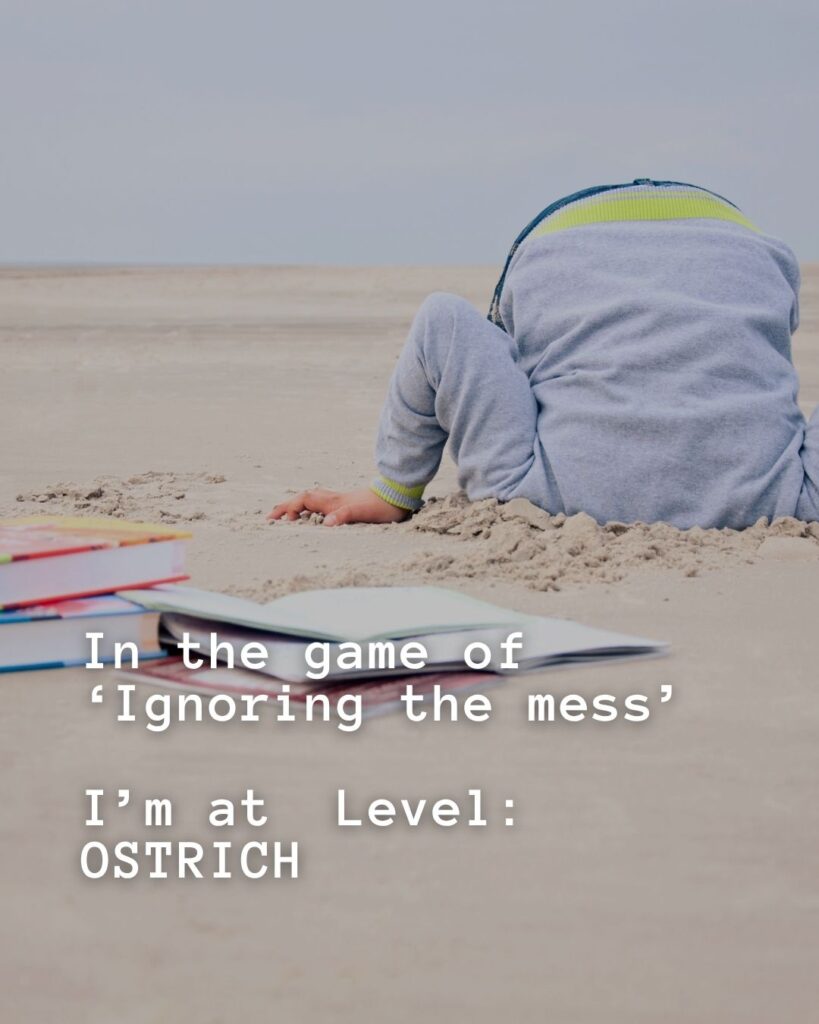 54 Funny Sayings About Clutter (That’ll Make You Feel Better About Yours) 8 In the game of 'ignoring the mess' I'm at level: OSTRICH