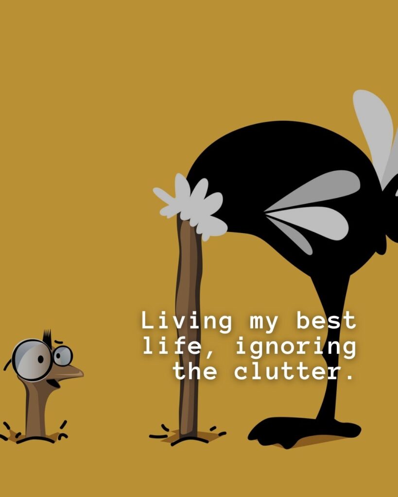 54 Funny Sayings About Clutter (That’ll Make You Feel Better About Yours) 3 Living my best life, ignoring the clutter