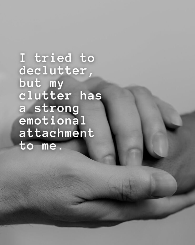 54 Funny Sayings About Clutter (That’ll Make You Feel Better About Yours) 12 I tried to declutter, but my clutter has a strong emotional attachment to me.