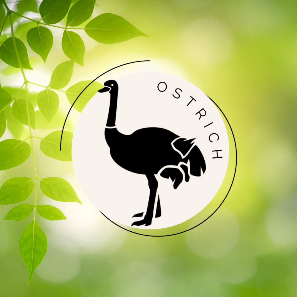 Ostrich Icon For The Homebird Quiz