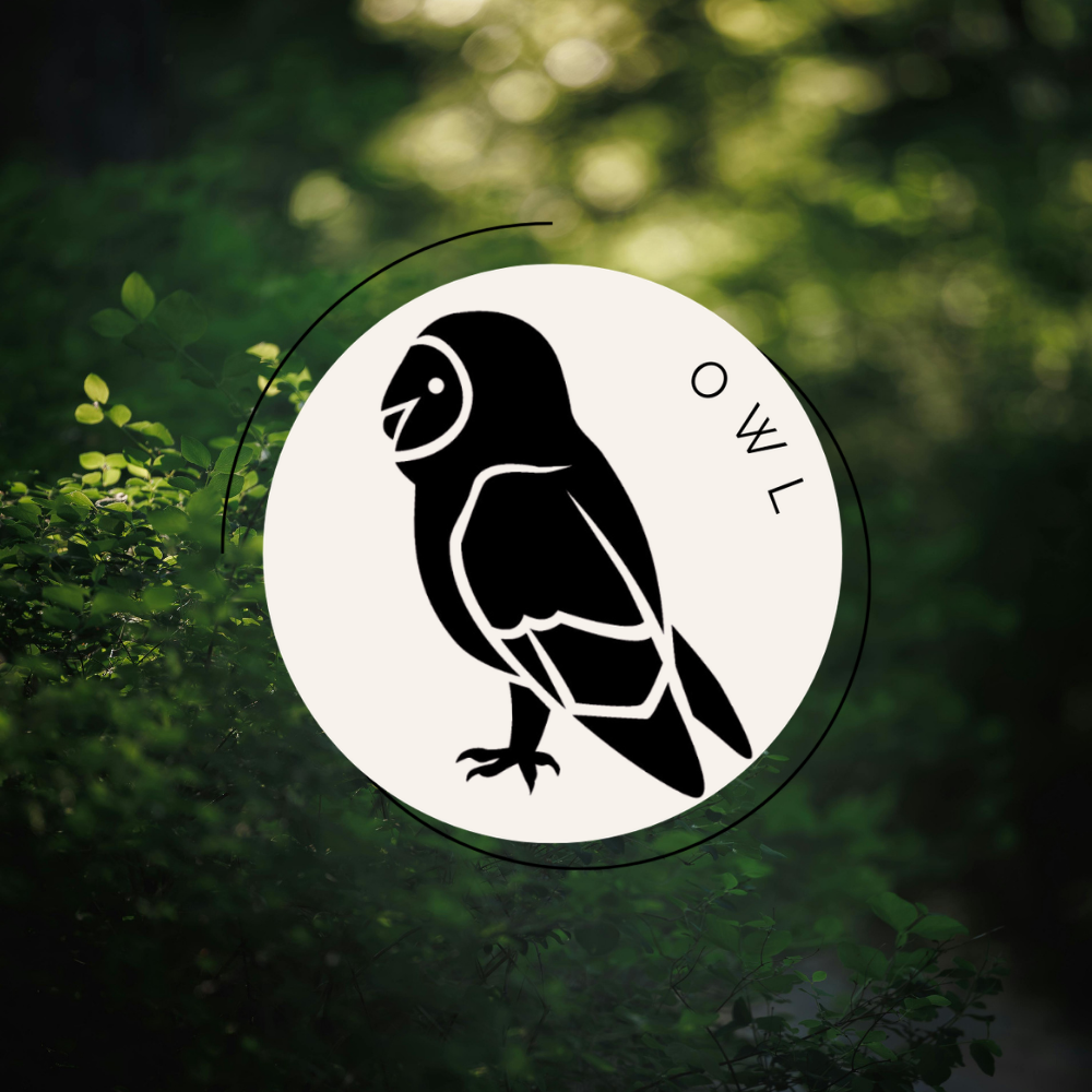 Owl Icon For The Homebird Quiz