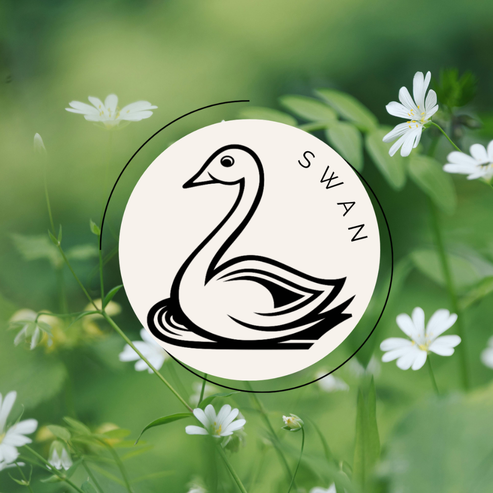 Swan Icon For The Homebird Quiz