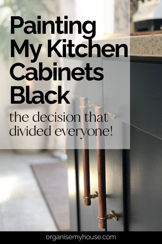 Painting My Kitchen Cabinets Black (The Decision That Divided Everyone!)