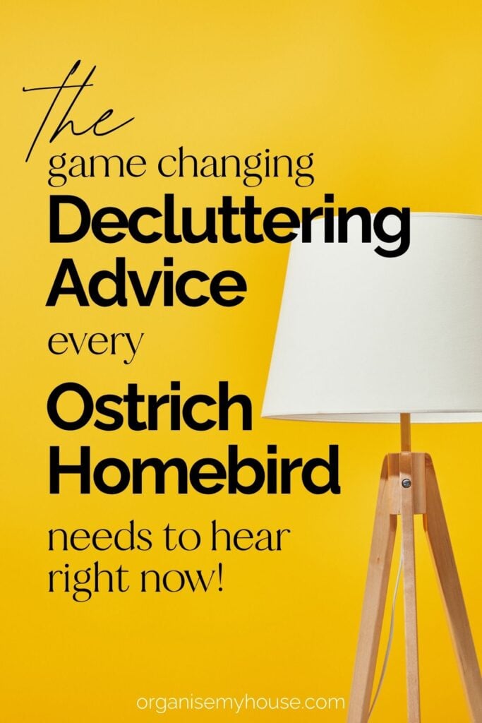 The Decluttering Advice Every Ostrich Homebird Needs To Hear Right Now 2 The Decluttering Advice Every Ostrich Homebird Needs To Hear Right Now