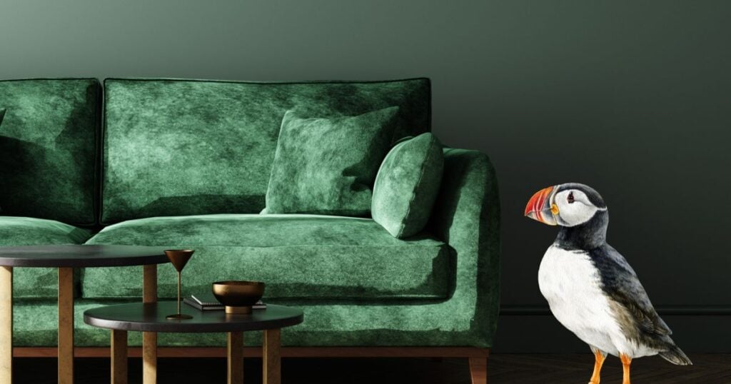 The Puffin Homebird Approach To Decluttering - And Why It Matters