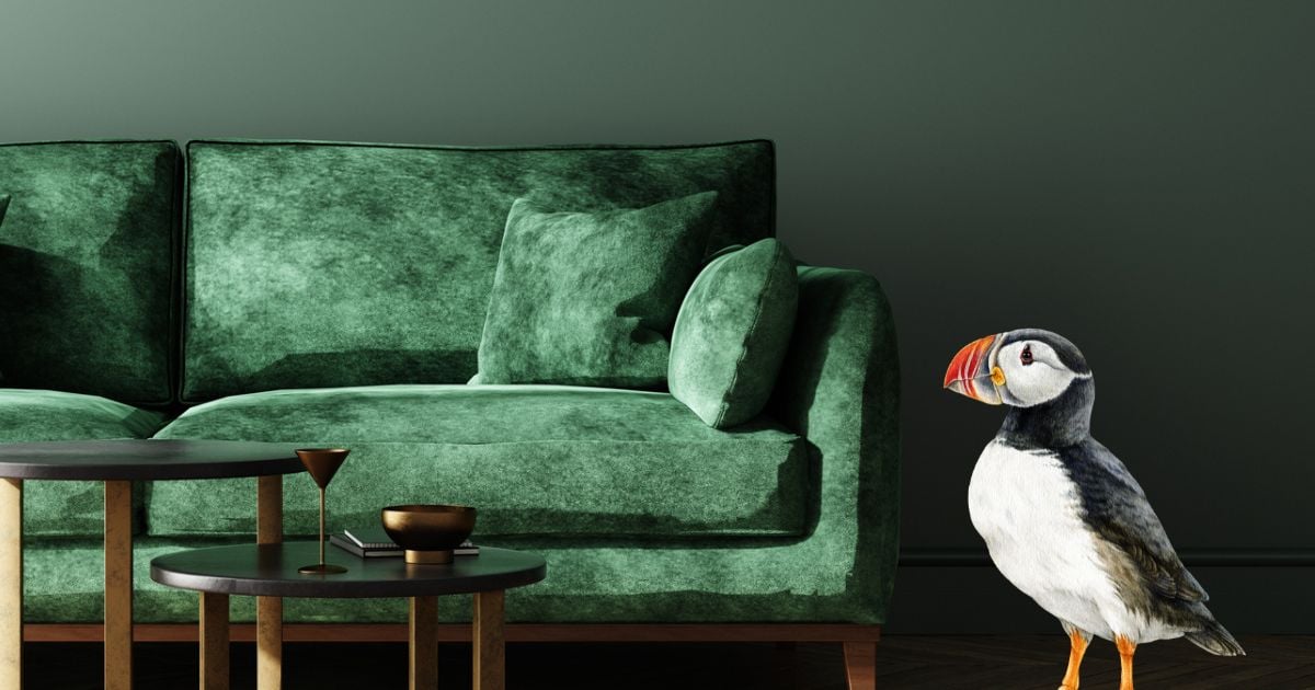 Puffin next to a green velvet sofa with dark green background