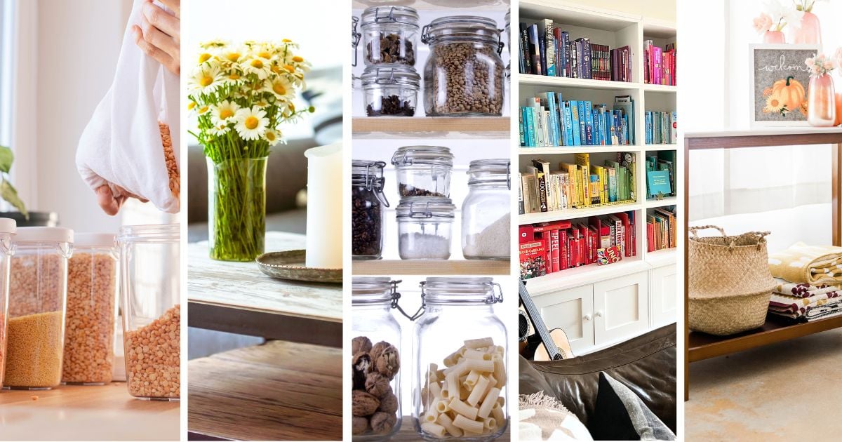Selection of organisation ideas